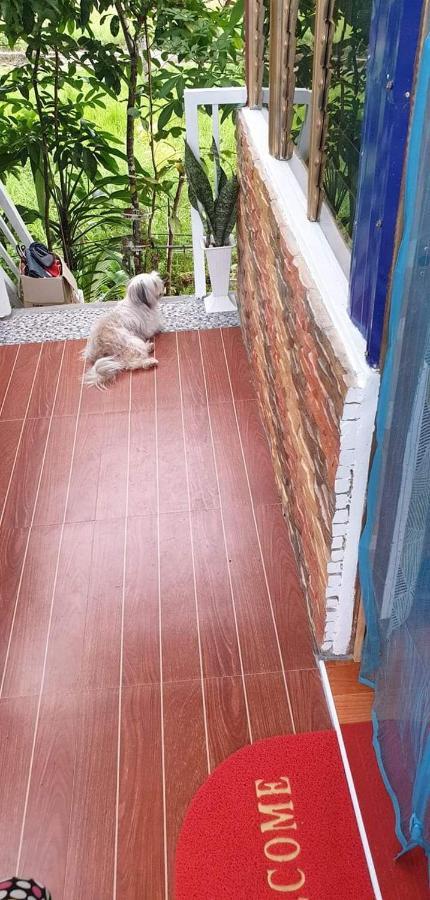 Cozy Tinyhouse Near Sm City Daet Bagian luar foto